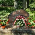 zdjęcie nr 16