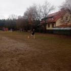 zdjęcie nr 19