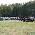 zdjęcie nr 66