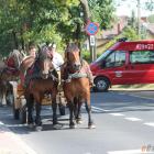 zdjęcie nr 27