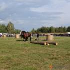 zdjęcie nr 105