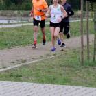 zdjęcie nr 14