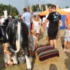 zdjęcie nr 176