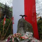 zdjęcie nr 203