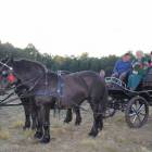 zdjęcie nr 74