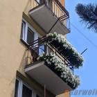 zdjęcie nr 40