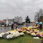 zdjęcie nr 20
