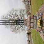 zdjęcie nr 60
