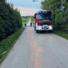 Fotka nr 5 z 8