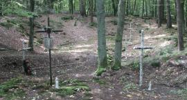 zdjęcie nr 79