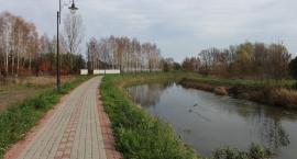 zdjęcie nr 10