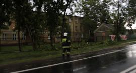 zdjęcie nr 18