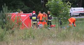 Fotka nr 2 z 17