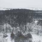 zdjęcie nr 26