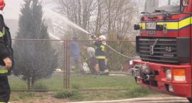 zdjęcie nr 43