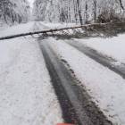 zdjęcie nr 18