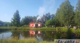 Fotka nr 4 z 11