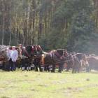 zdjęcie nr 71