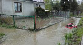 zdjęcie nr 8