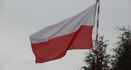 zdjęcie nr 93
