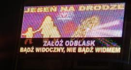 Fotka nr 3 z 4