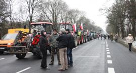 zdjęcie nr 27