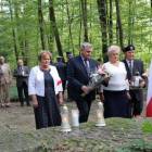 zdjęcie nr 22