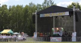zdjęcie nr 8