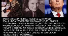 Fotka nr 3 z 7