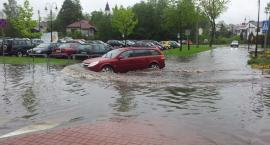 zdjęcie nr 8