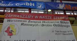 zdjęcie nr 47
