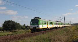 zdjęcie nr 8