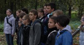 zdjęcie nr 7