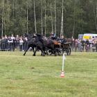 zdjęcie nr 21