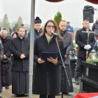 zdjęcie nr 120