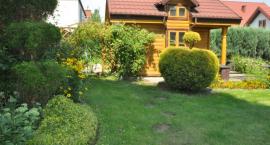 zdjęcie nr 40