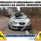Fotka nr 1 z 3
