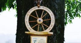 zdjęcie nr 53