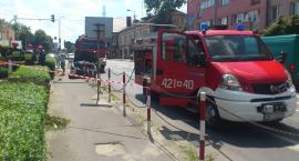 Fotka nr 1 z 3