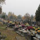 zdjęcie nr 15