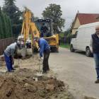 zdjęcie nr 13