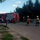 Fotka nr 1 z 16