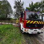 Fotka nr 2 z 14