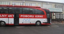zdjęcie nr 10