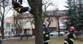 zdjęcie nr 22