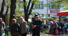 zdjęcie nr 13