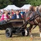 zdjęcie nr 91