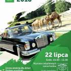 Fotka nr 5 z 21