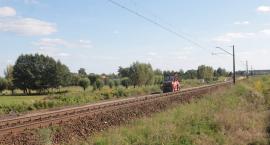 zdjęcie nr 7