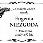 zdjęcie nr 